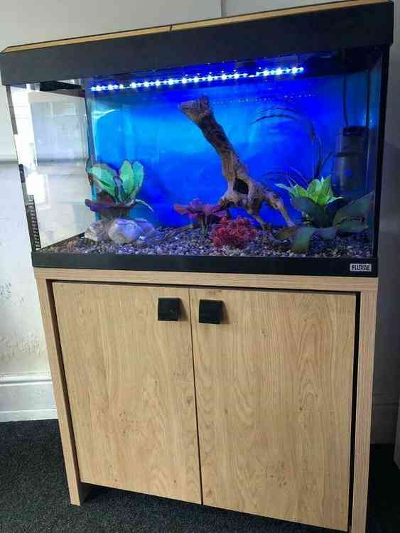 Fluval Fish tank 125 litre for sale